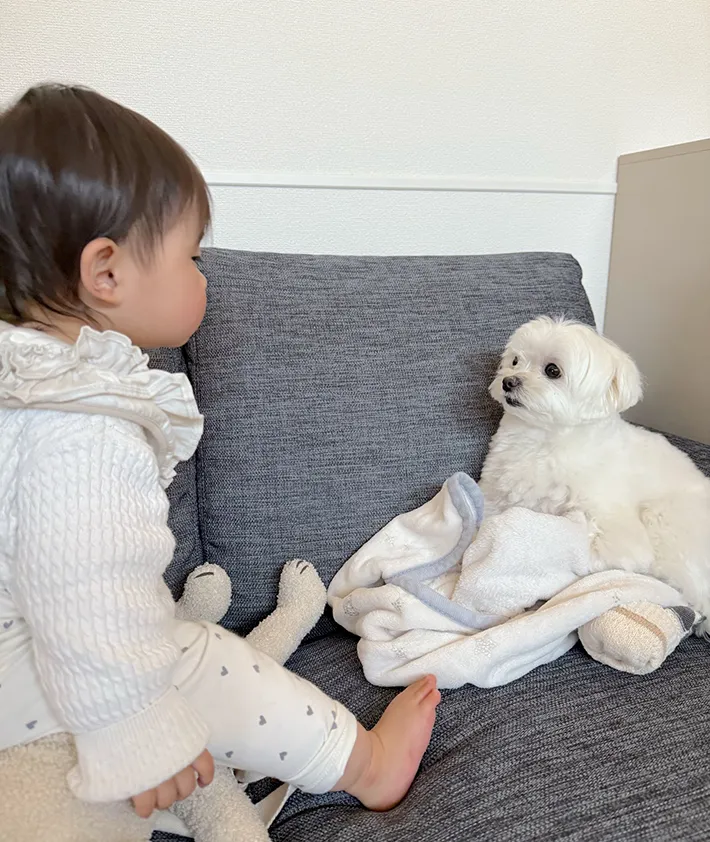 赤ちゃんと犬の写真