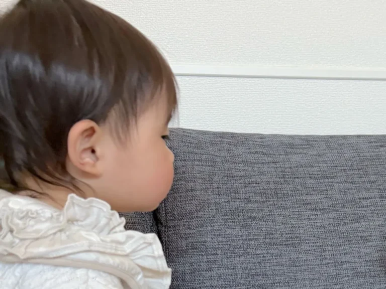 赤ちゃんと犬の写真