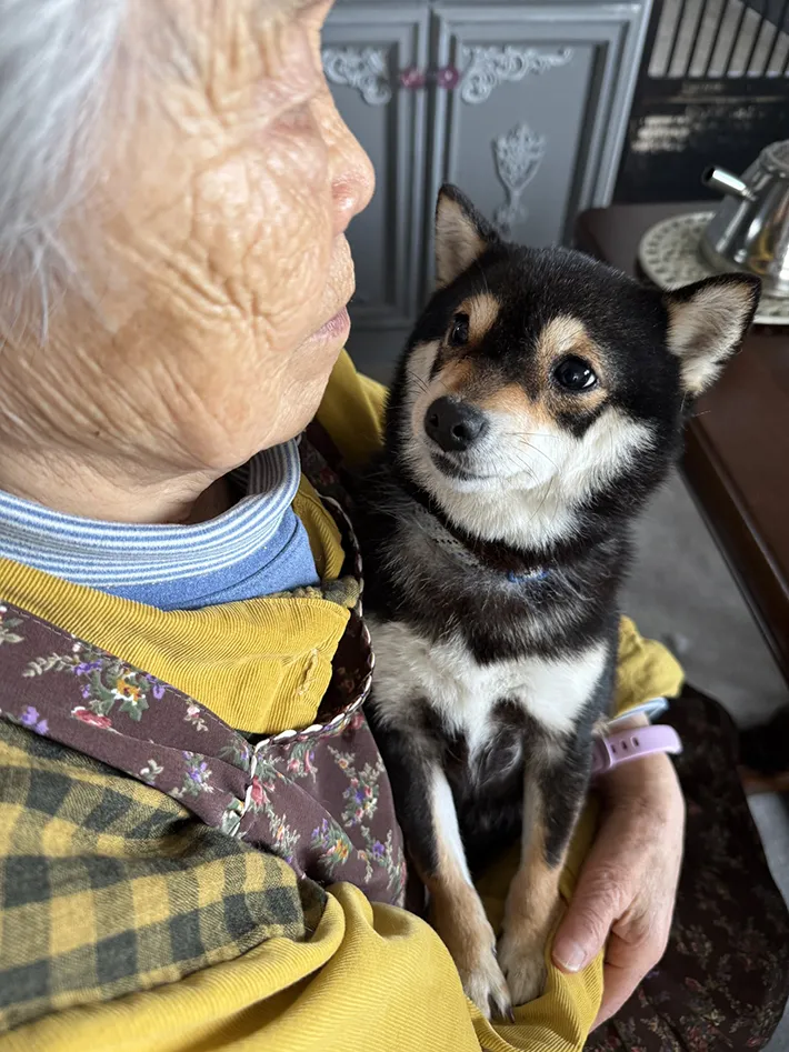 おばあちゃんと保護犬の写真