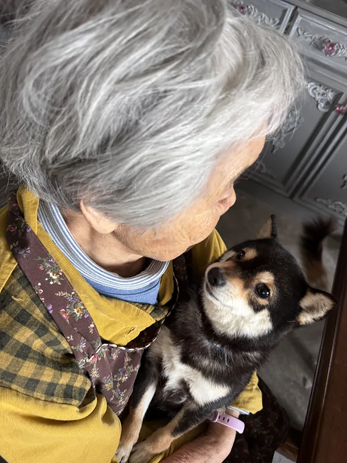 おばあちゃんと保護犬の写真