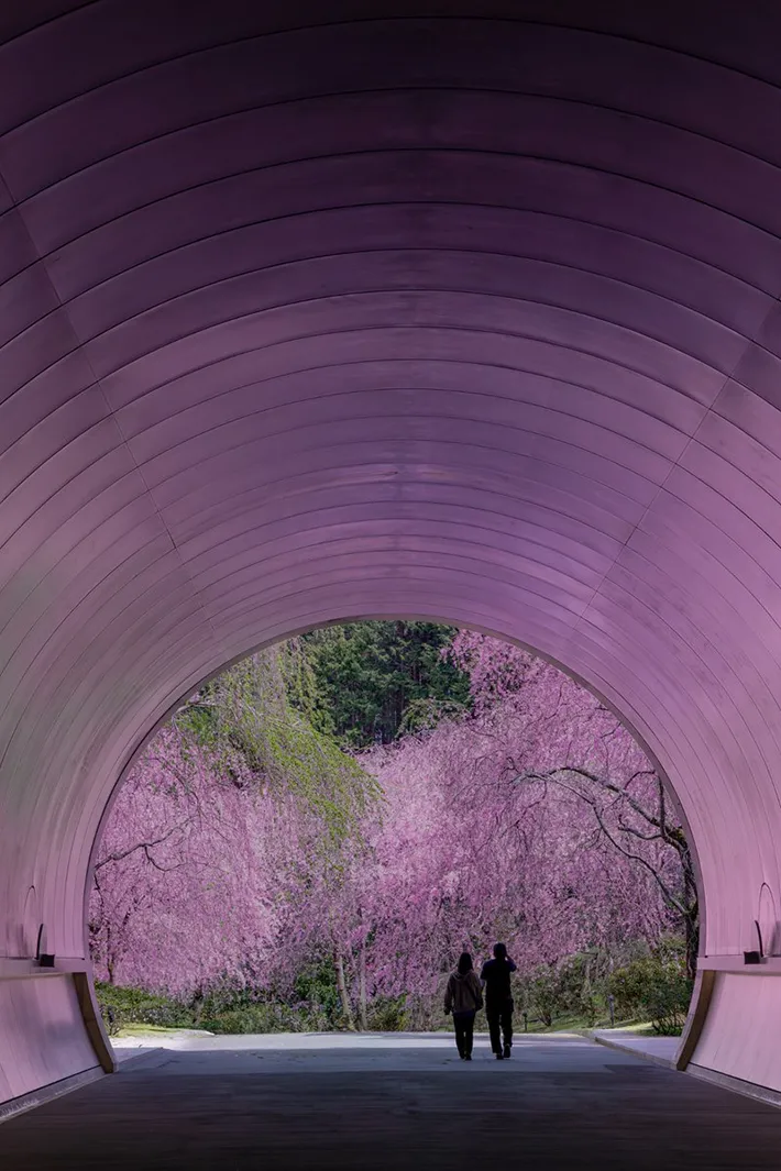 yuya（@yuya0240）さんのトンネル写真