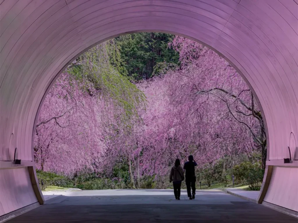 yuya（@yuya0240）さんのトンネル写真