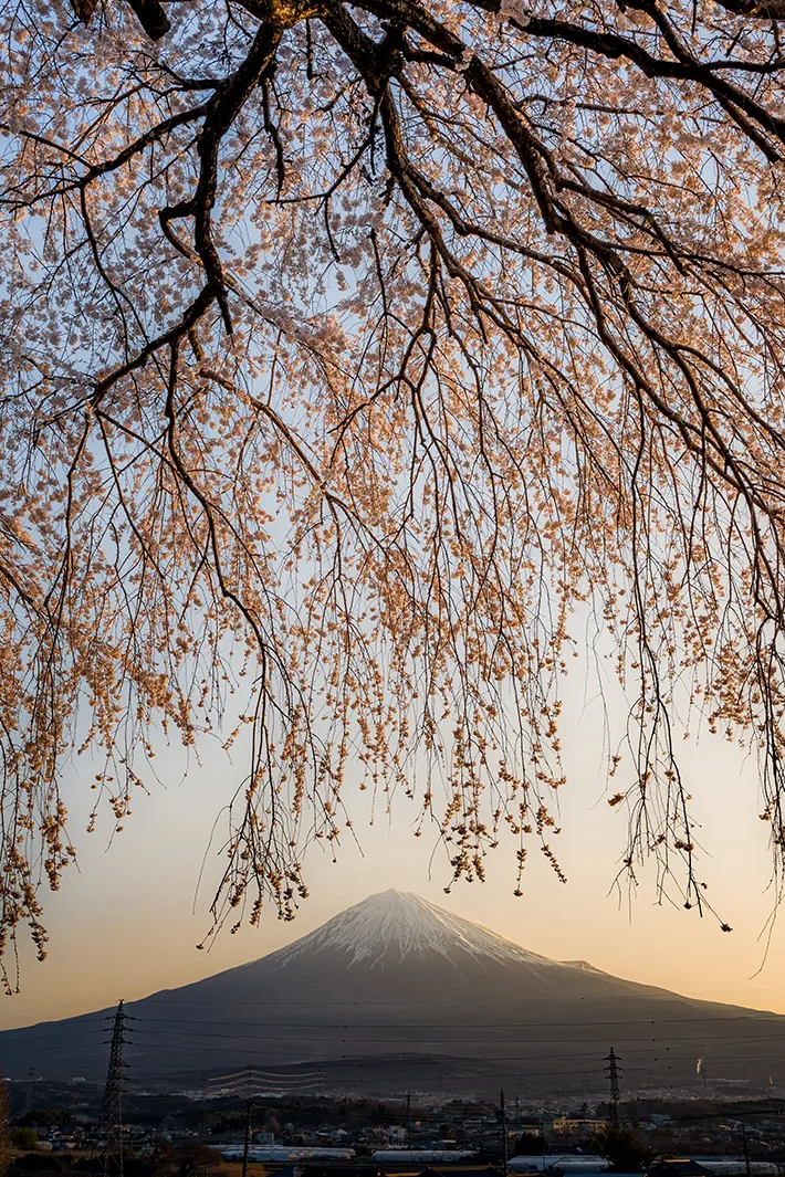 Taku（@taku_photo47）さん撮影の写真