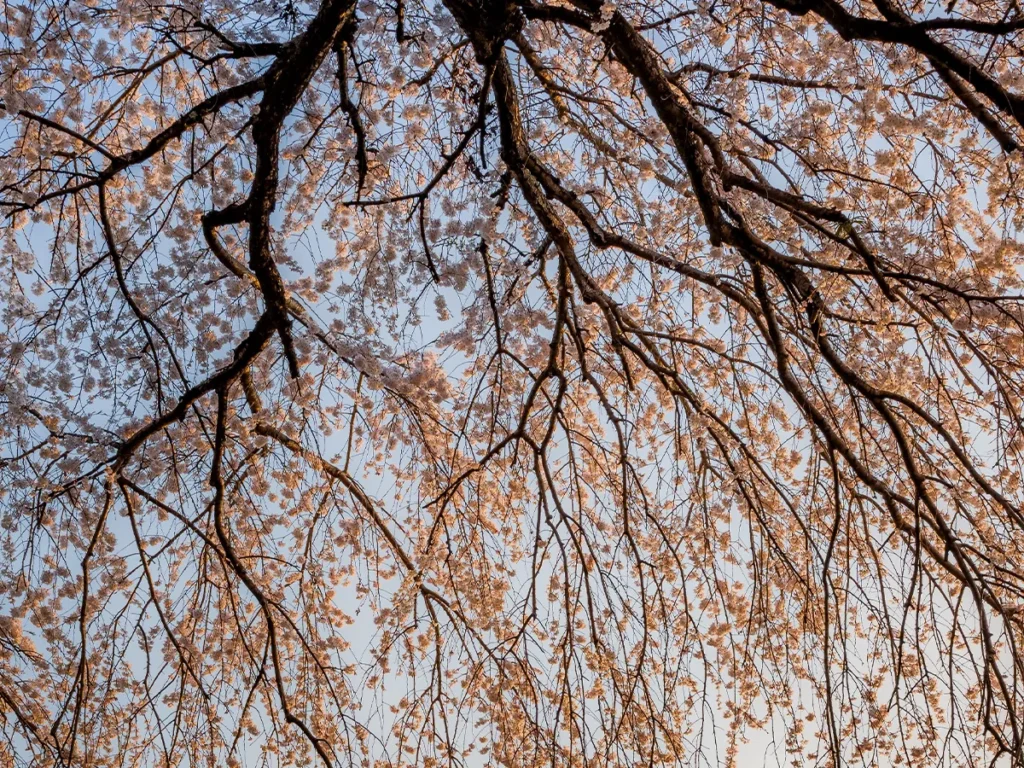 Taku(@taku_photo47)さん撮影の写真