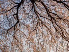 Taku（@taku_photo47）さん撮影の写真