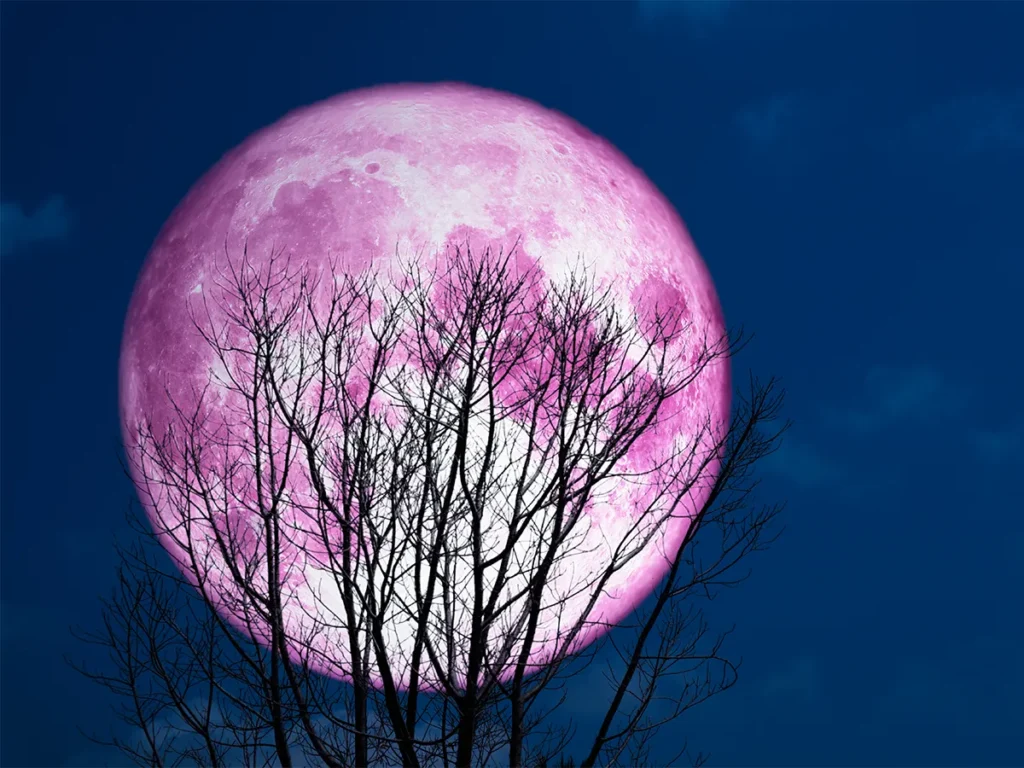 ピンクムーンのイメージ写真