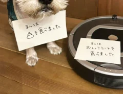 反省札を掲げる犬とロボット掃除機の写真