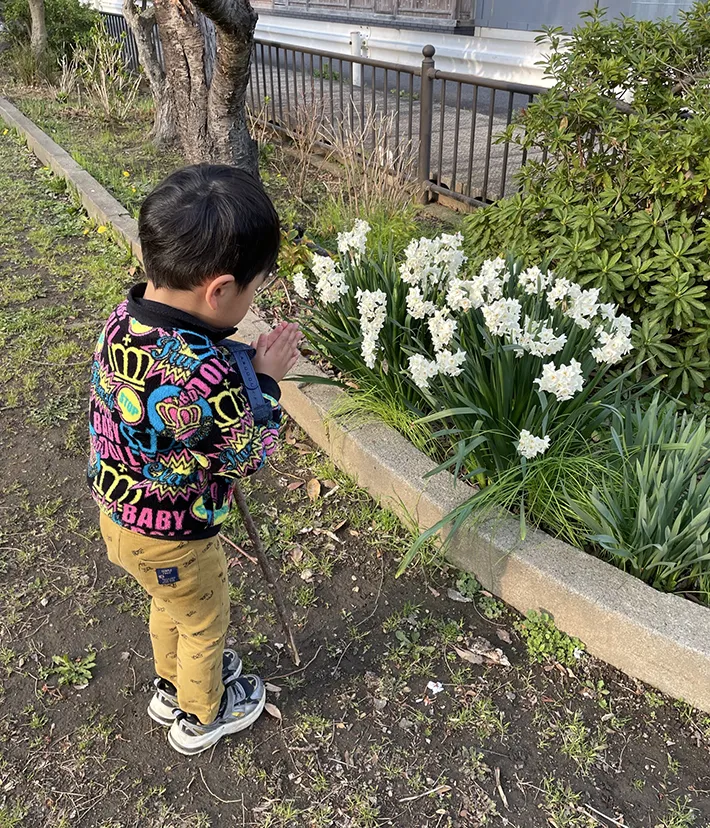 4歳の男の子の写真