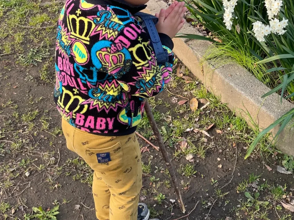 4歳の男の子の写真