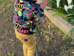 4歳の男の子の写真