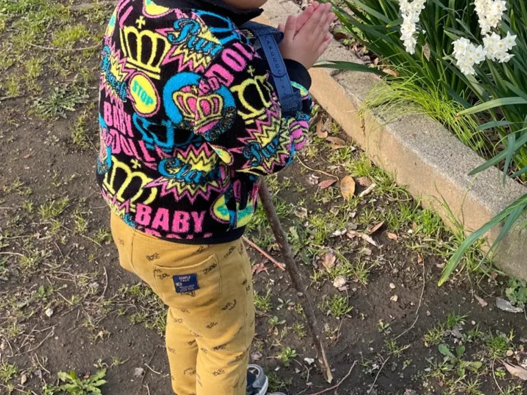 4歳の男の子の写真