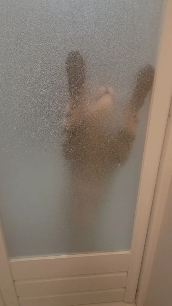 お風呂場のドア越しに猫