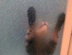 風呂場のドア越しに猫