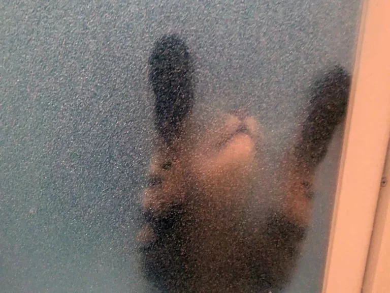 風呂場のドア越しに猫