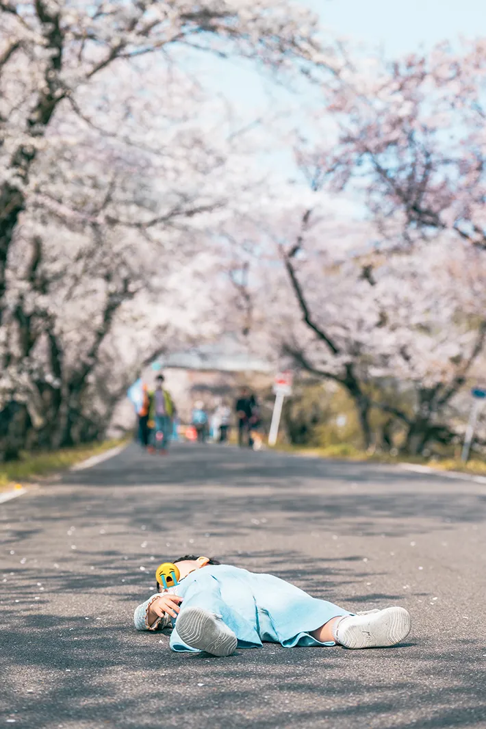 桜の木の下で寝転がる子供