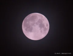 ピンクムーン