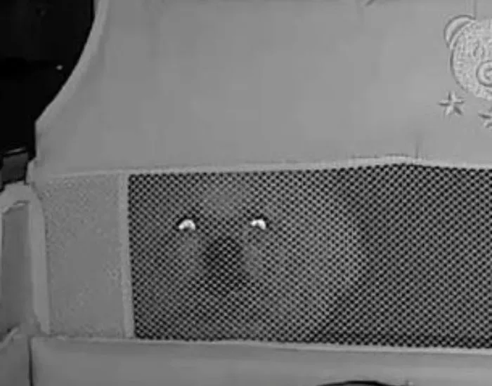 赤ちゃんの頭上で光る2つの目