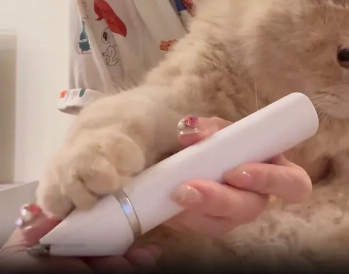 バリカンをつかんで止めようとする猫