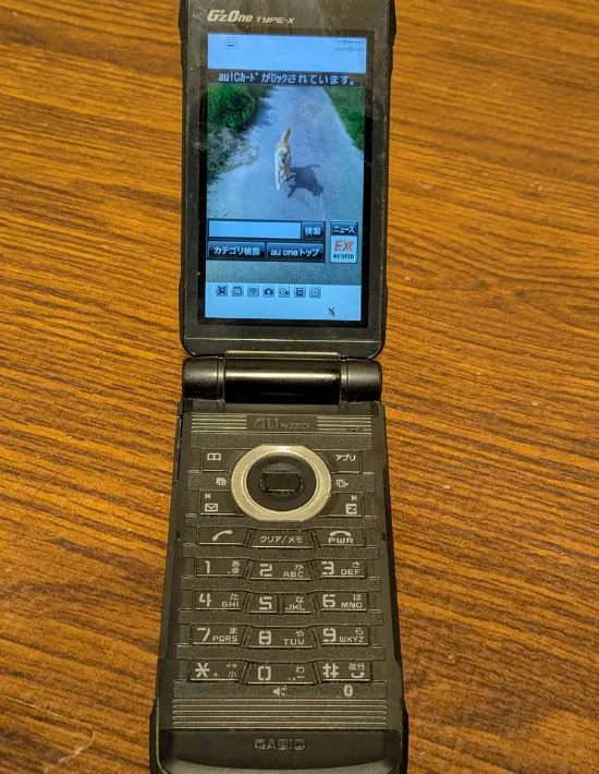 ガラケーの画面に写る愛犬の写真
