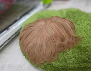 床に落ちたウィッグのように見えるモルモット