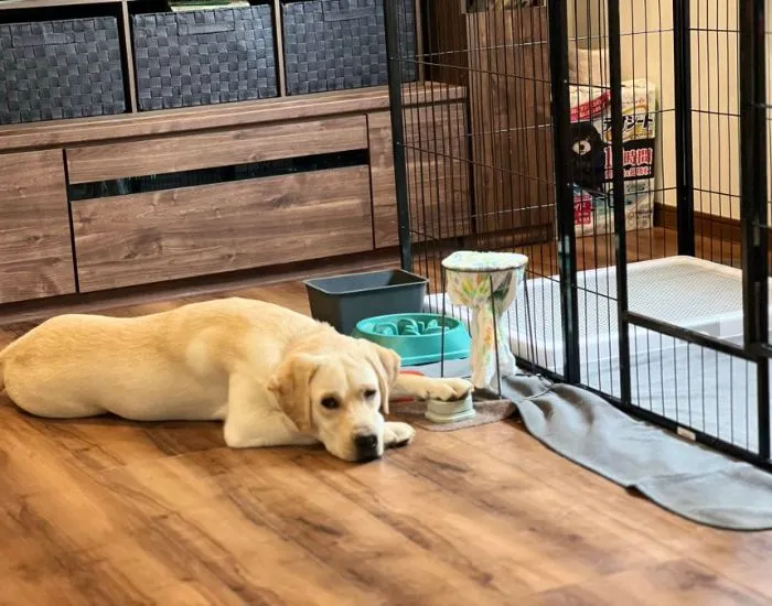 ボタンを押している姿