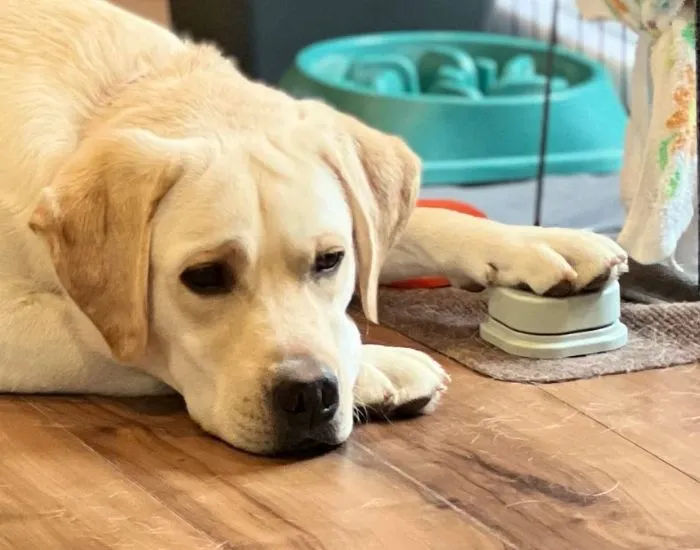 しょぼんとした表情