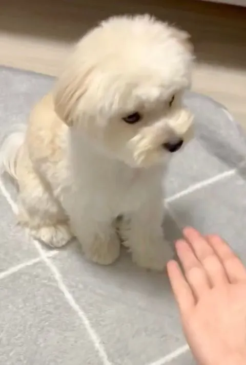 手を差し出している様子