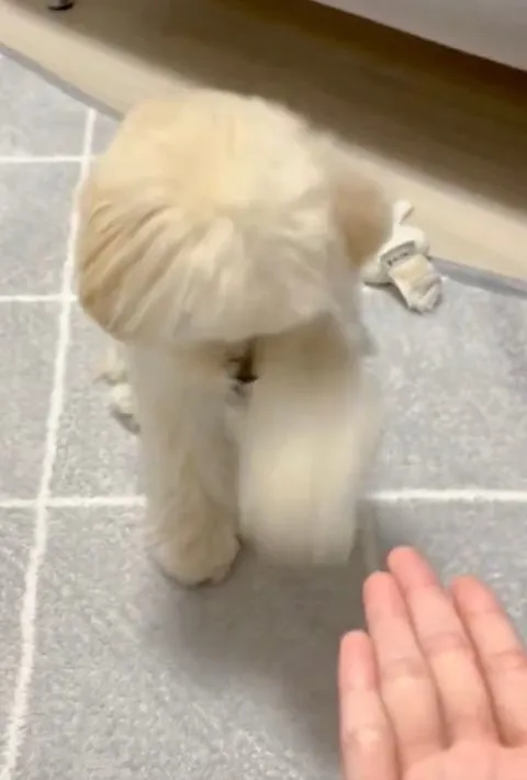 最後まで空振りしている様子