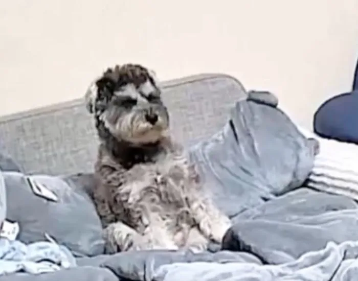 まぶたが落ちてきている様子