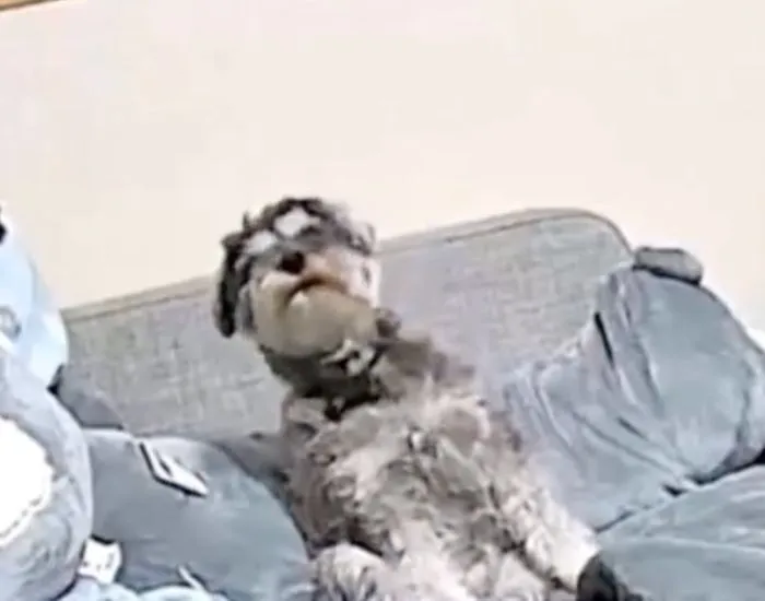 後ろに倒れる様子