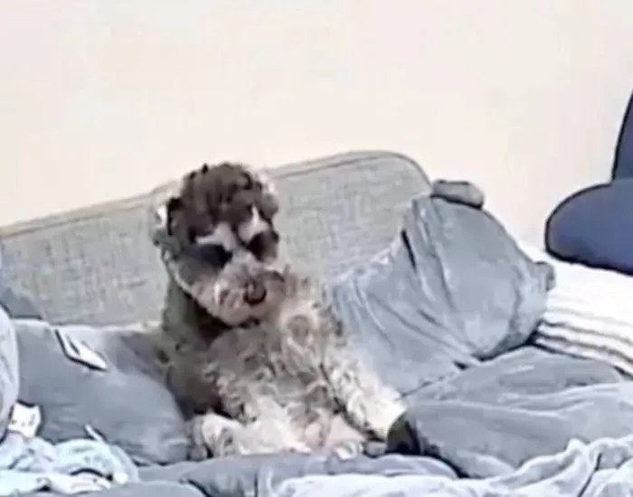 前に倒れる様子