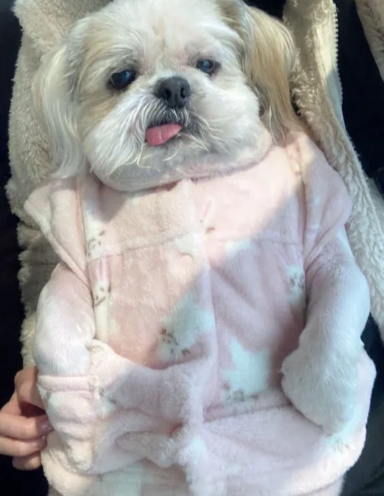 ポケットに足を入れている様子