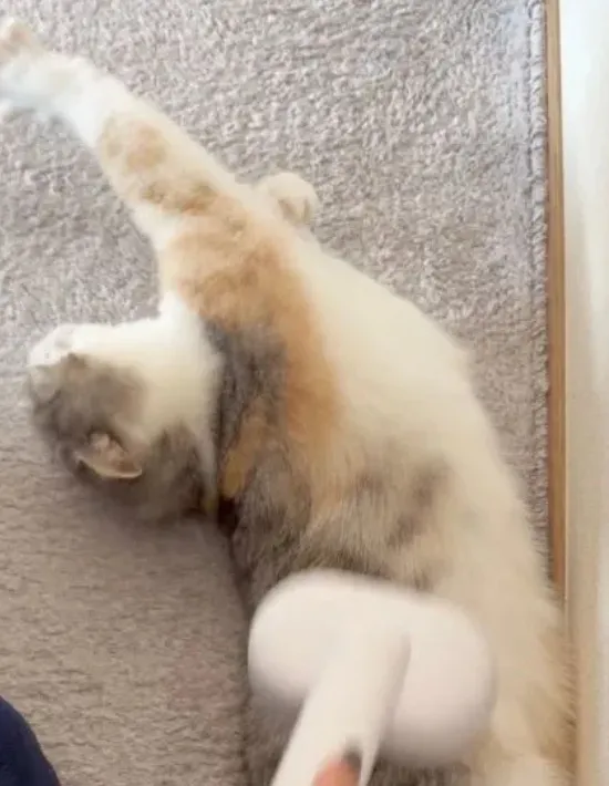 背中を反らす様子