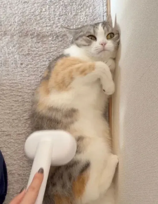 視線が合わない様子