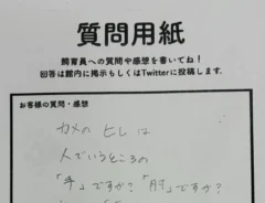 「人はウミガメと一緒」 質問箱の『ウミガメファースト』な回答に「愛を感じる」「笑った」