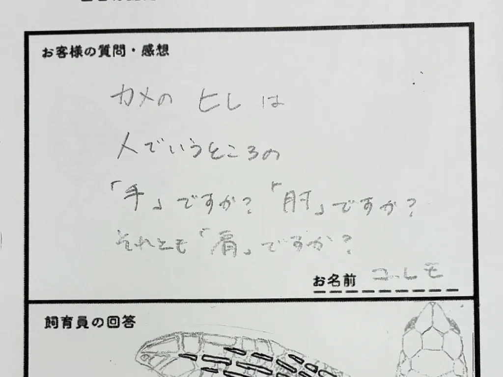 質問への回答
