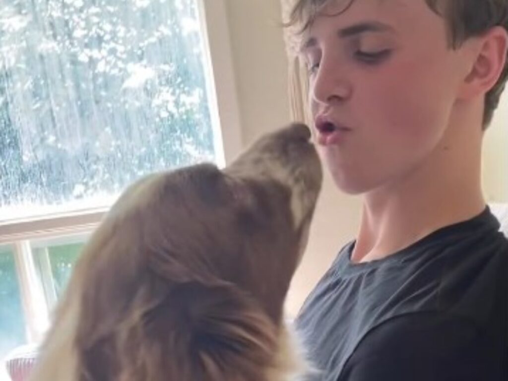 青年と犬の写真