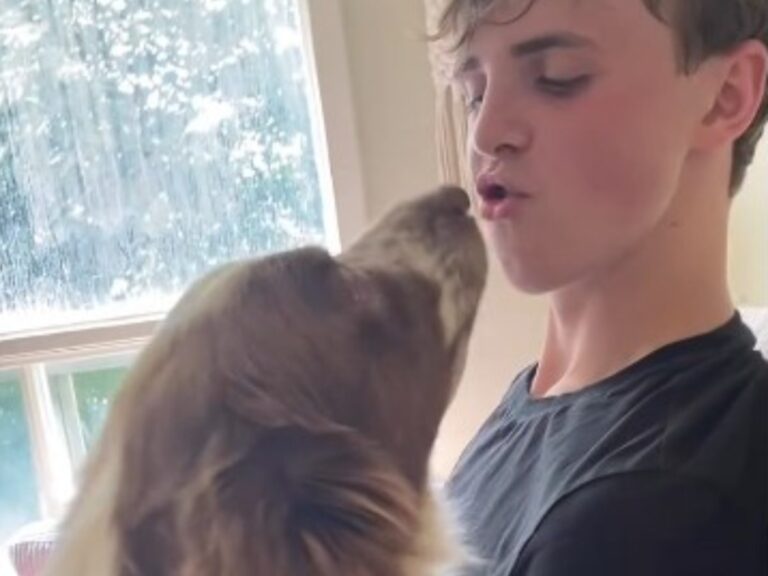 青年と犬の写真