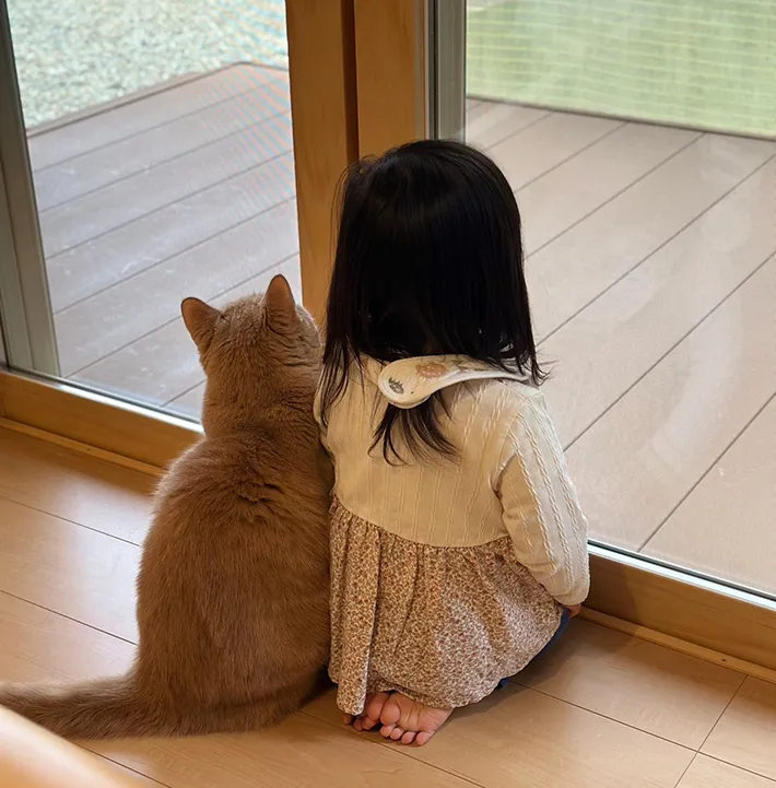 猫と子供の後ろ姿の写真