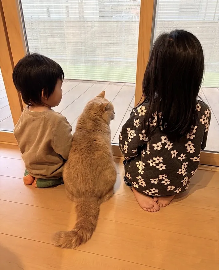 猫と子供の後ろ姿の写真