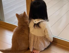 並んで外を見ていた猫と娘が、2年半後？　「かわいいが増えてる」「こういうのだけ見ていたい」