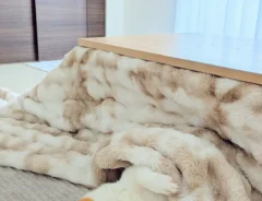 4月なのにコタツを片せないワケ　阻んでいるのは…「これは仕方ない」「もうちょっと待ってあげてー！」