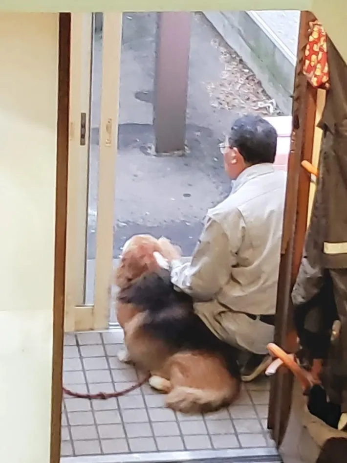 犬と棟梁の写真