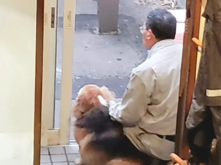 犬と棟梁の写真