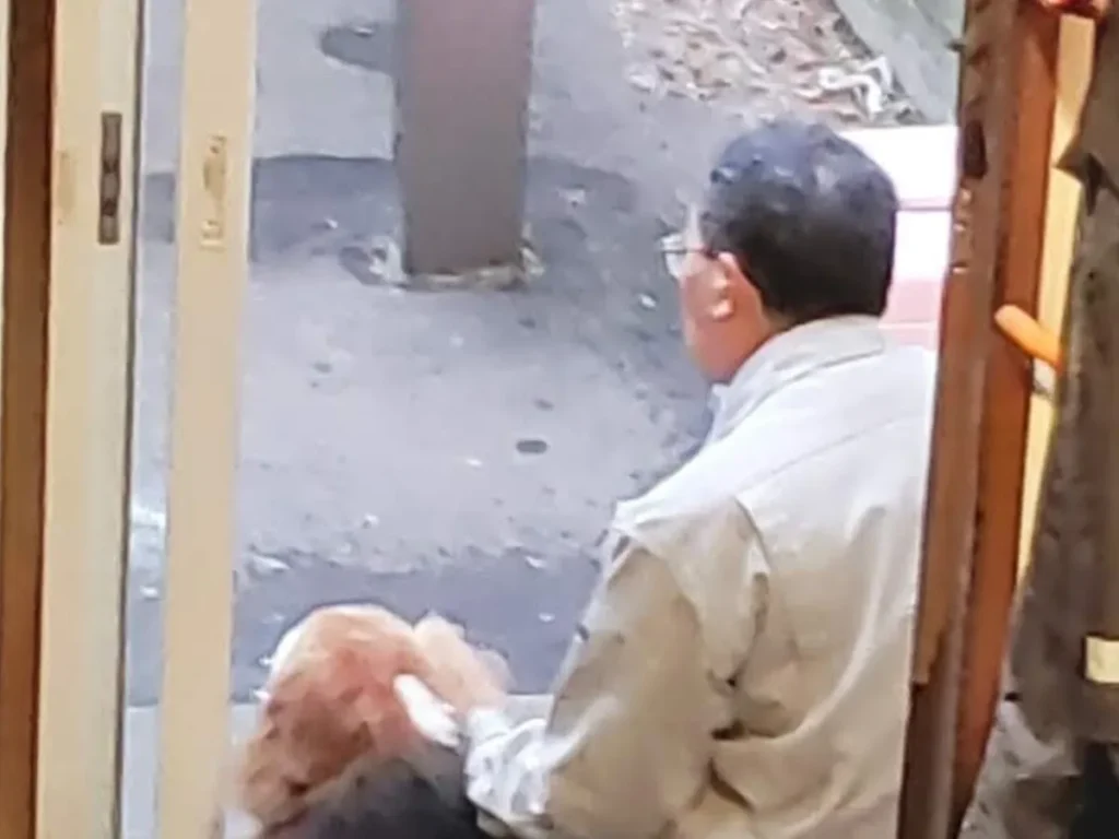 犬と棟梁の写真