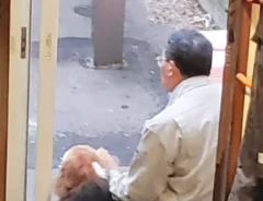 犬と棟梁の写真