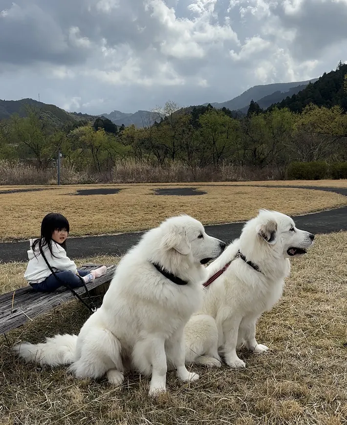 散歩中の犬と女の子