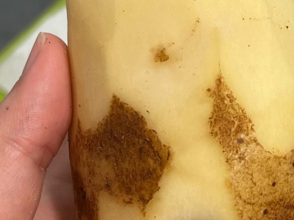 Wi-Fiのマークがついたジャガイモ