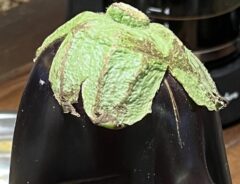 ナスがまるで天狗！？　その姿に「ウソップでは？」「ピノキオみたい」