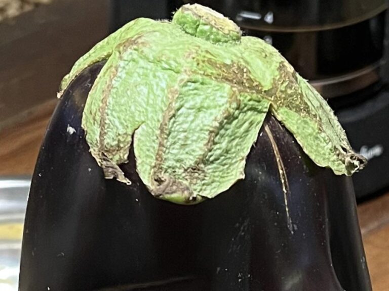 厨房の台に置かれた長い鼻のついたナス